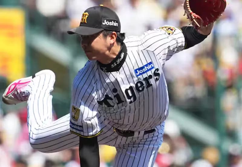 才木浩人 (2026)防御率3.29 4勝1敗 投球回31 奪三振率12.51