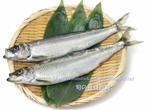 【悲報】ニシンとかいう魚、ガチで誰も食べたことがないｗｗｗｗｗｗｗｗｗｗ