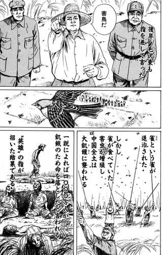 【朗報】スズメさん、クッソ可愛い鳥だったｗｗｗｗｗｗｗｗｗｗ