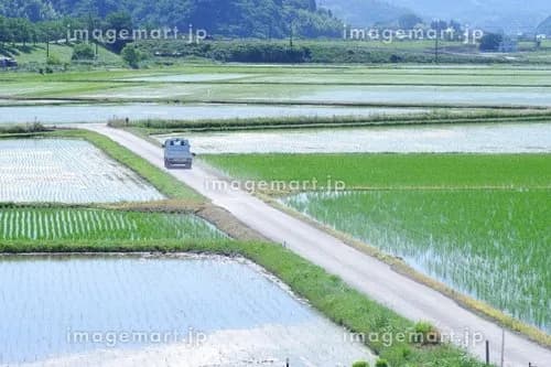 【悲報】バカ「田舎は遊ぶ所がない」ワイ「う、海とか山とか…」ｗｗｗｗｗｗｗｗｗｗ