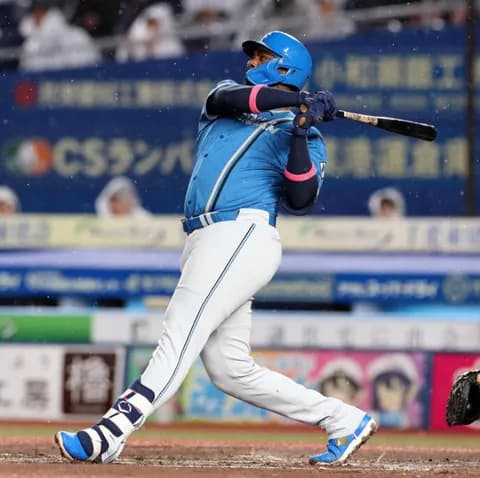 【日本ハム】レイエス、3戦連続の6号2ラン｜ロッテ戦｜打った瞬間の反応まとめ｜5/13