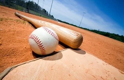 プロ野球選手が引退してから貧乏になるやつ