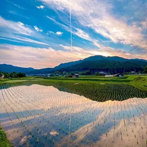 【悲報】田舎に移住した女さん、サブカルがなさすぎて精神が死んでしまうｗｗｗｗｗｗｗｗｗｗ
