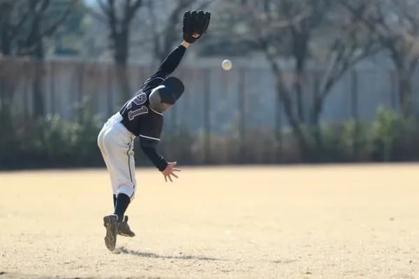 比較的守備が下手な外野手←何でレフトに置くんや？センターに置けよ