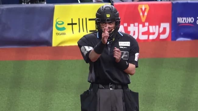 【朗報】NPB+、MLBのABSと同じような測定基準だった