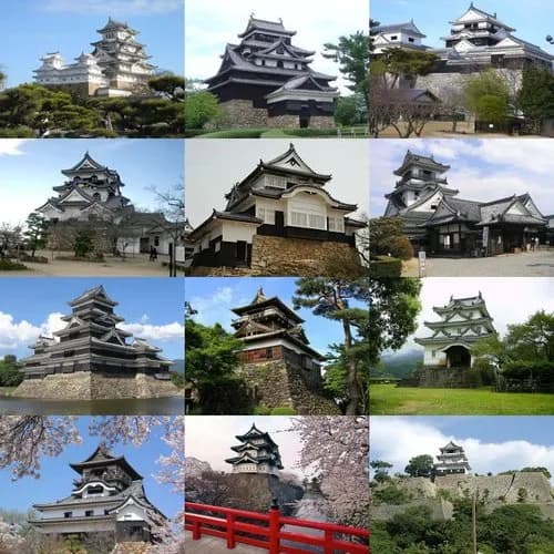 【悲報】城さん、言うほど観光したいか？ｗｗｗｗｗｗｗｗｗｗ