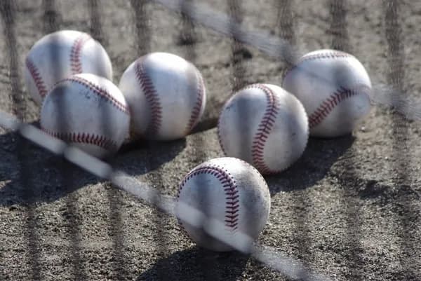 プロ野球選手にやたら多い苗字ｗｗｗｗｗｗｗｗ