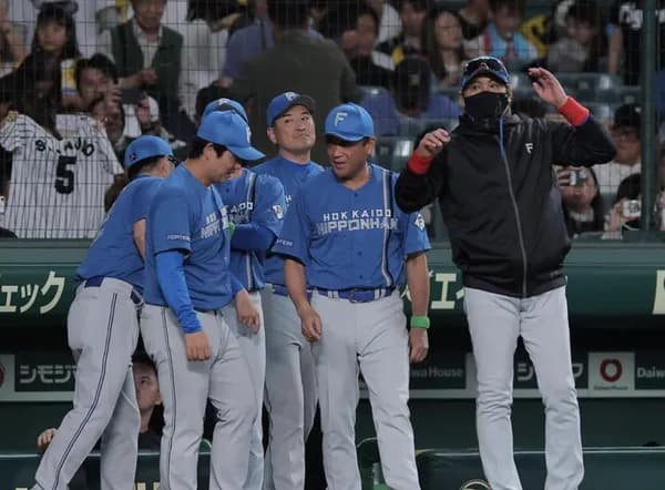 SB戦後のハムっていつも勝ってるイメージある