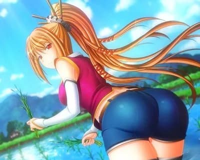 戦国乙女ってドウセツがいちばんじゃない？