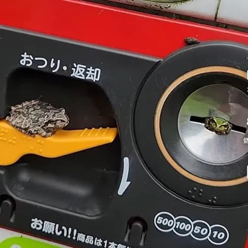 【衝撃】夏の田舎の自販機、ガチでレベチすぎるｗｗｗｗｗｗｗｗｗｗ