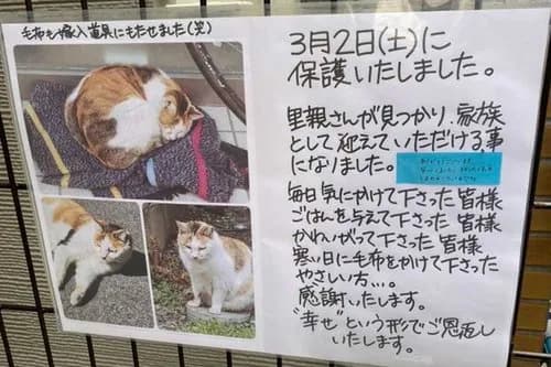 【悲報】「ここへ子猫を捨てた人へ」・・・・・・・・・