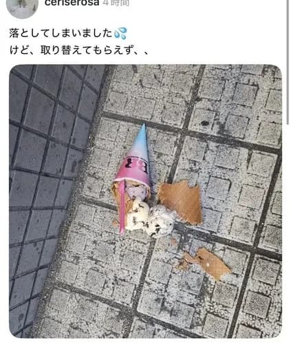 【悲報】31さん、アイスを落とした女の子に塩対応して炎上してしまうｗｗｗｗｗｗｗｗｗｗ