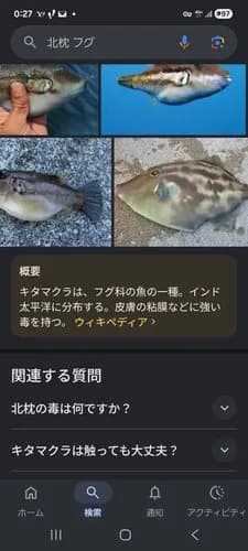 【戦慄】女さん「ま◯こにフグ入れてぇ！！」→無事死亡・・・・・・・・・
