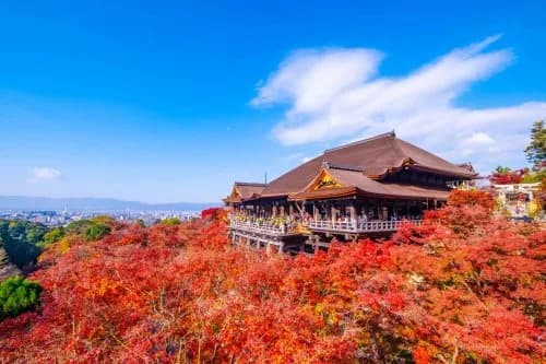 【朗報】京都さんの衰退が始まった理由ｗｗｗｗｗｗｗｗｗｗ