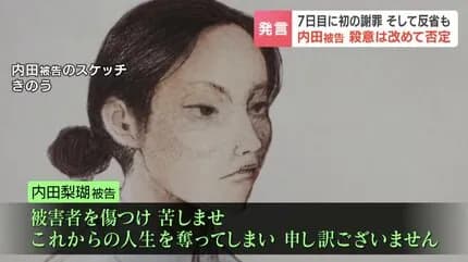 【悲報】内田梨瑚被告「ずびばぜんでじだ！反省じでまず！」検察「なぜ泣いたんですか？」梨瑚「」