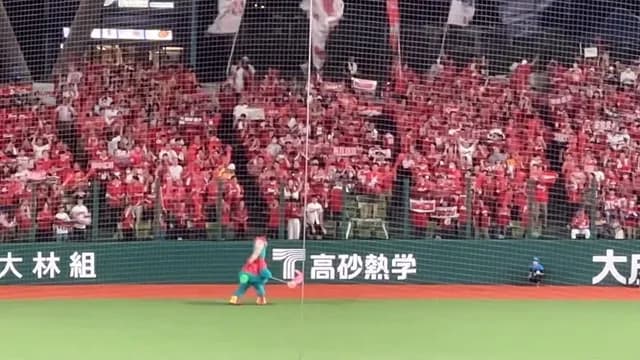 阪神ファン「カープはビジター満員でズムスタはガラガラ。何が原因なんやろ？」