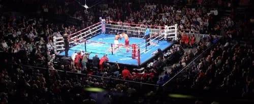 【悲報】格闘技で一番稼げるのが一番弱いボクシングという事実ｗｗｗｗｗｗｗｗｗｗ