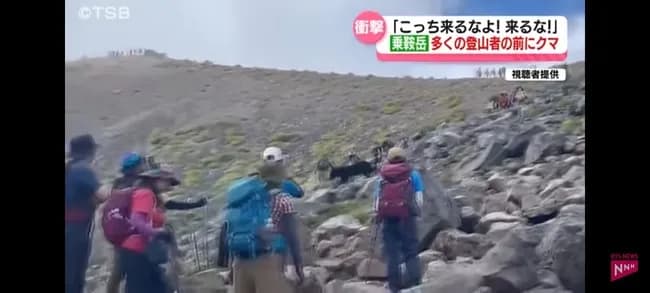 山にいるクマ、またもや登山者たちの前に姿を現し、その場にいた人たちを恐怖させてしまう