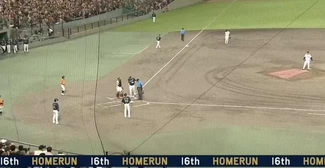 村上16号ｗｗｗｗｗｗｗｗｗｗｗｗ