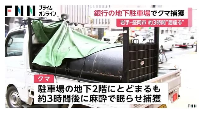 クマさん🐻、ついに銀行にやってくる