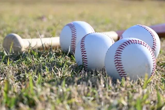 NPB歴代の同じ選手9人集めてチーム作ったら一番強いのってやっぱり大谷翔平？