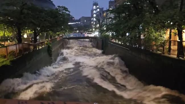 武蔵小杉、水没