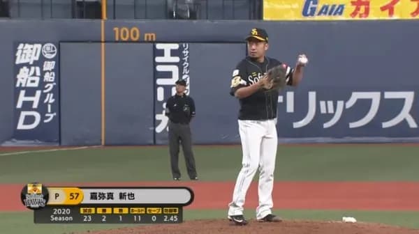プロ野球選手にしかいない名字