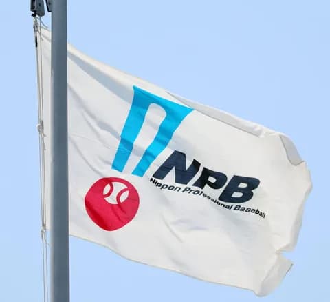 NPBのリプレー検証、来季からセンターで一括実施