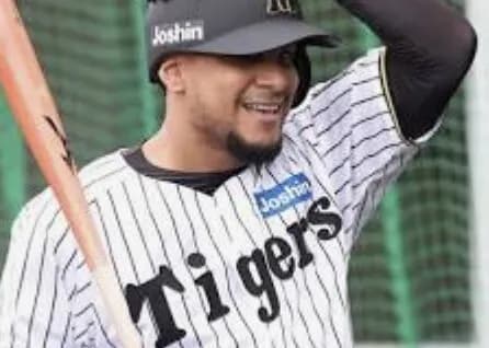 ヘルナンデス、来日初のホームランが飛び出す！阪神の外国人としては2025初のホームランwwww