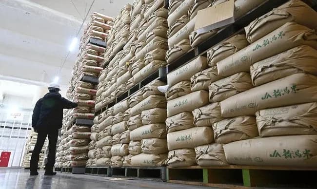 5/28「備蓄米早く店頭で売れ」5/29「備蓄米は動物の餌。こんなもの売るな。小泉は辞任しろ」←これ