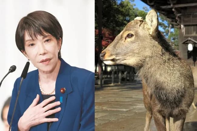 【悲報】日テレさん、なぜか奈良の鹿暴行がなかったと答えたインタビュー部分をカットしてしまうｗｗｗ