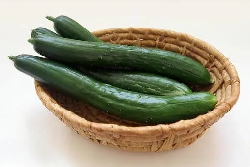 【朗報】きゅうりを一番美味く食う方法､決まるｗｗｗｗｗｗｗｗｗｗｗｗｗｗｗｗ