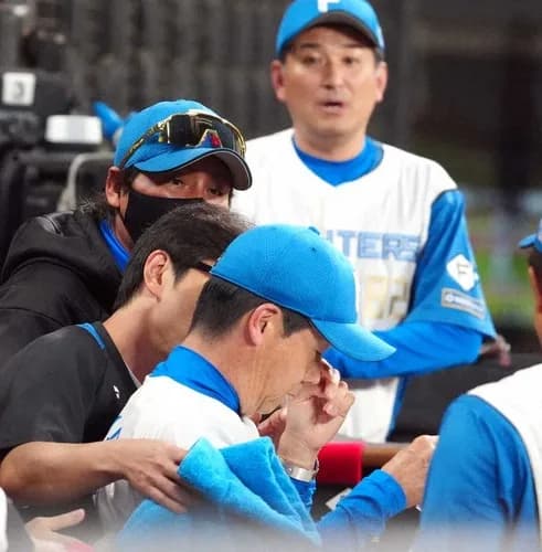 頭部にバット直撃の日本ハム・八木コーチ　脳内に一部出血と腫れで入院