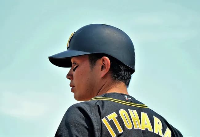 プロ野球選手にしかいない名字