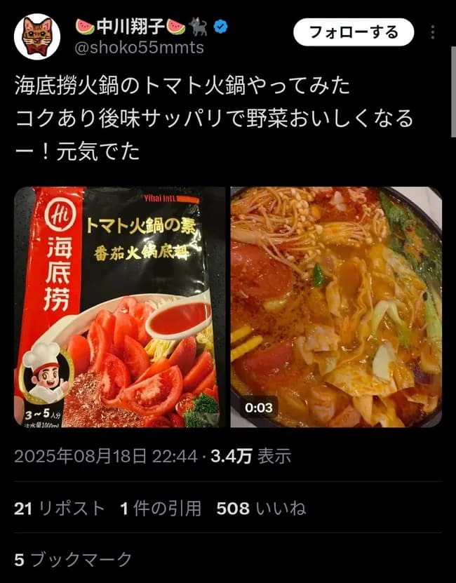 【画像】双子妊娠中の中川翔子さん、ガチ中華激辛火鍋を食べて元気が出る！！