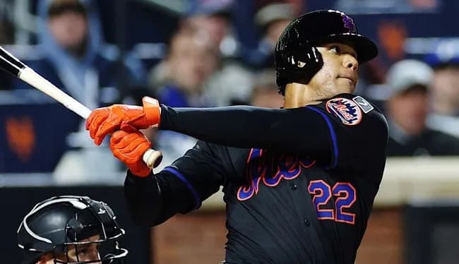 フアン・ソト（Av.247 13HR 36打点 ）←率直な感想