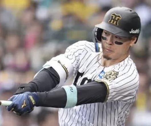 佐藤輝明『去年の15号は秋でした。今年は6月です』←こいつ