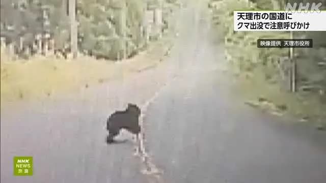 【悲報】奈良県天理市にツキノワグマ出没。天理市内で確認されるのは史上初のこと