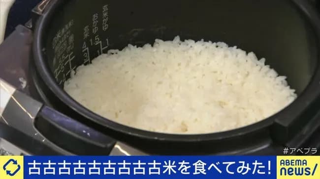 【悲報】古古古古古古古古古米、発見されるｗｗｗｗｗｗｗｗｗｗ