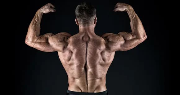 【疑惑】筋トレ業界「アイツがステ」「コイツもステ」