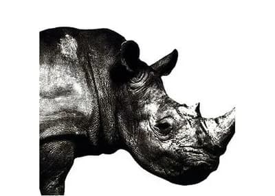 今すぐ現金1000万円手渡しされるけど一生Mr.Childrenしか音楽を聴けなくなるボタン