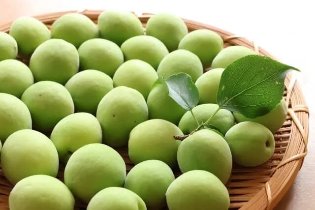 スーパーに梅の実が売ってたから梅干し作りたい