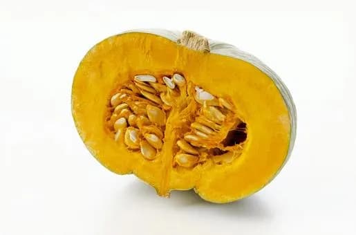 【急募】カボチャを一番美味しく食べる方法と言えば？ｗｗｗｗｗｗｗｗｗｗｗｗｗｗｗｗ