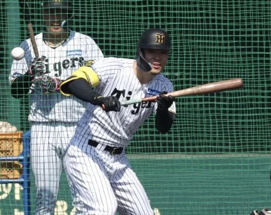 佐藤輝明、実戦打撃練習でまさかのバント練習wwwwwwwwwwww