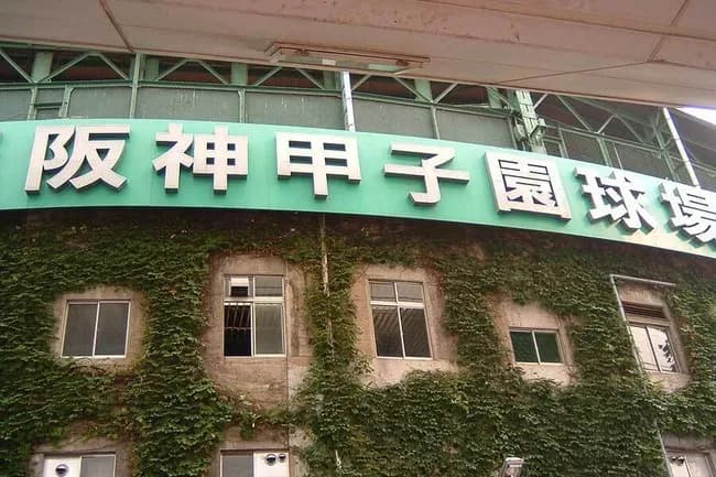 甲子園決勝前に迷う視聴者続出「究極の選択」　真裏では“国民的対決”「時間かぶせんといて」