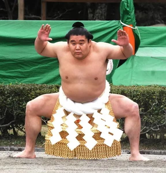 【疑問】若乃花って人気あったの？ｗｗｗｗｗｗｗｗｗｗｗｗｗｗｗｗ