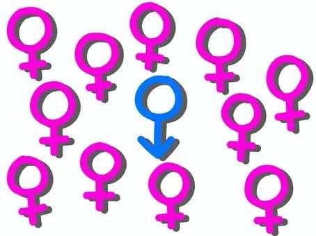 一夫多妻制「少子化一気に解決できます」←日本が頑なにこれを認めない理由www