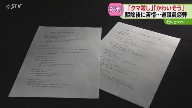「命を何だと思っている？」クマ駆除をめぐり北海道に苦情殺到