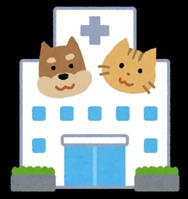 【悲報】イッヌ、ウキウキで車に乗り込むも嫌いな動物病院に着いて落ち込む