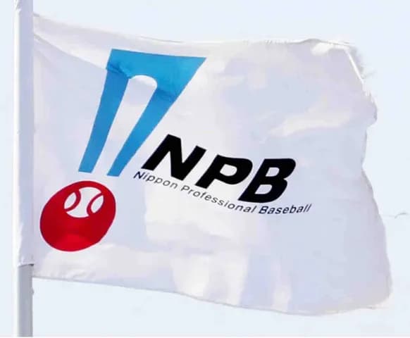 【ＮＰＢ】来年から２軍「１リーグ３地区制」で再編の方針　７月オーナー会議で結論へ